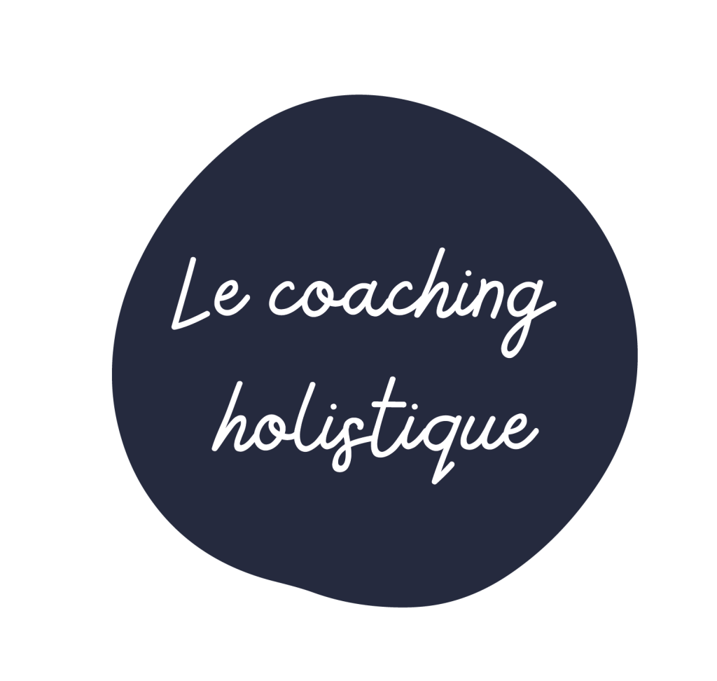 Coaching holistique David Berthe